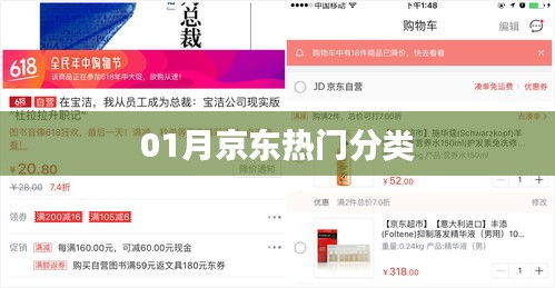 京東一月熱門分類推薦