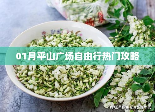 平山廣場自由行指南,熱門攻略一網(wǎng)打盡