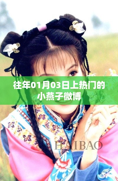 小燕子微博一月三日話題熱議揭秘