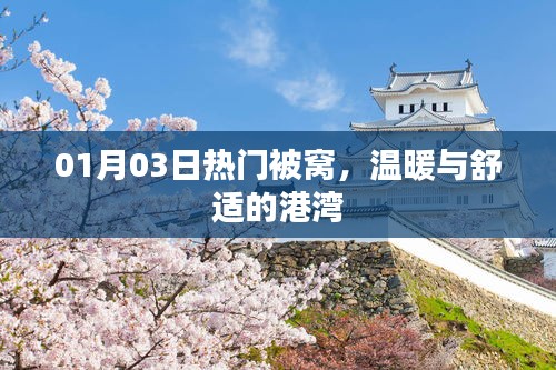 熱門被窩,冬日溫暖的港灣