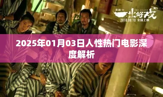 人性探索,深度解析一部熱門電影