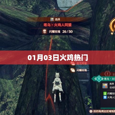 火雞熱門風(fēng)潮,揭秘背后的故事