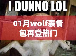 January熱門表情包,wolf表情再登榜首