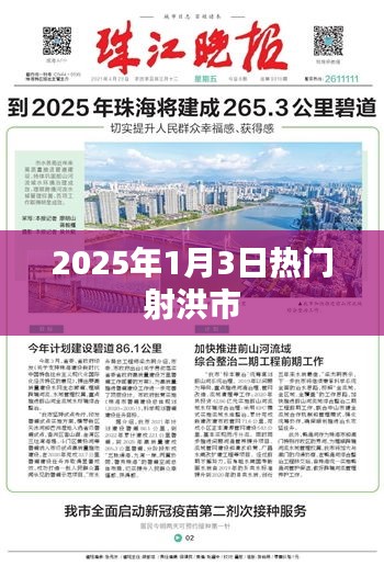 射洪市熱門活動預告,2025年1月3日盛事盤點