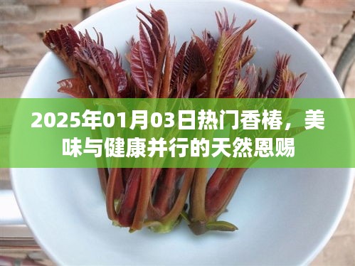 香椿盛宴,美味與健康并行的天然恩賜(2025年)