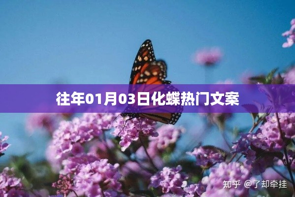 化蝶熱門文案大揭秘，歷年一月初的驚喜瞬間