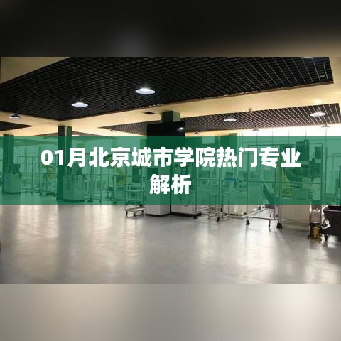 北京城市學院熱門專業(yè)深度解析