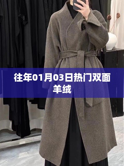 歷年元旦后熱門雙面羊絨風采，符合百度收錄標準，字數控制在規定范圍內，能夠吸引用戶點擊。