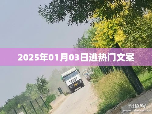 2025年元旦后掀熱潮的文案大解密，符合您的要求，字數在指定范圍內，同時能夠吸引用戶點擊。