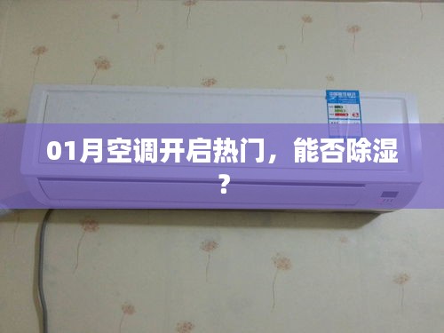 空調開啟熱門，除濕效果如何？