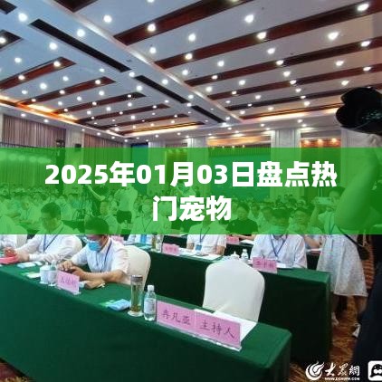 寵物市場盤點,熱門寵物趨勢展望(附日期)