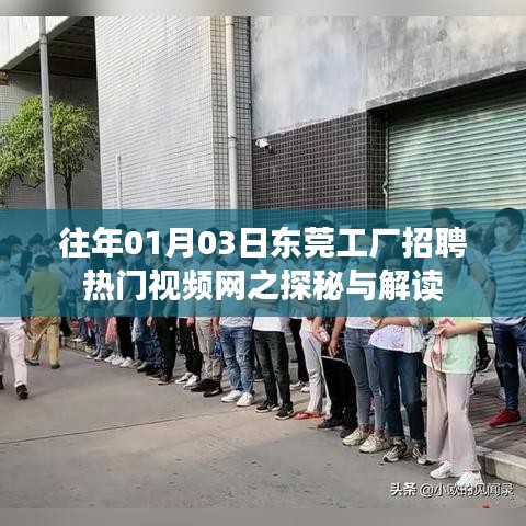 東莞工廠招聘熱門視頻網探秘解讀