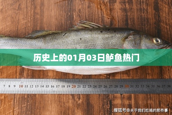 歷史上的鱸魚盛事，一月三日回顧