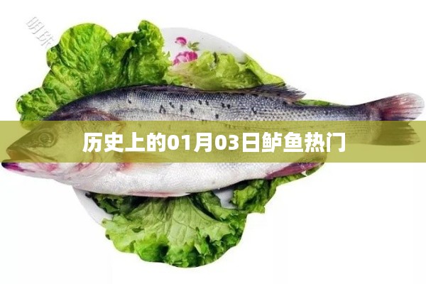 歷史上的鱸魚盛事,一月三日回顧