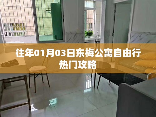 東梅公寓自由行指南,精選攻略助你暢游無阻