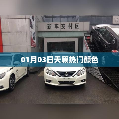 天籟熱門顏色大盤點(diǎn)，時(shí)尚之選，不容錯(cuò)過