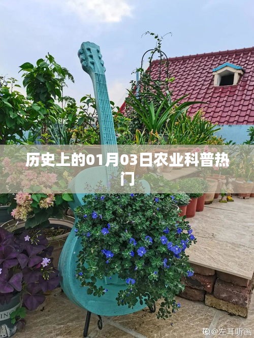 蟲書鳥篆 第4頁