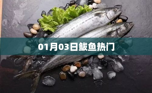 鲅魚熱門事件,最新動態揭秘