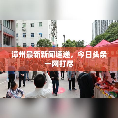 漳州最新新聞速遞，今日頭條一網(wǎng)打盡