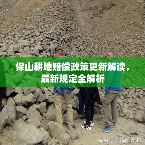 保山耕地賠償政策更新解讀,最新規定全解析