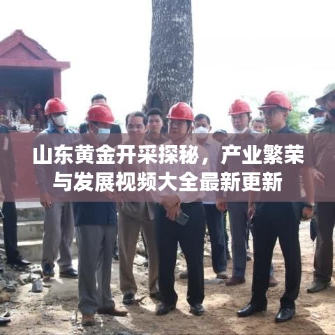 山東黃金開采探秘，產業繁榮與發展視頻大全最新更新