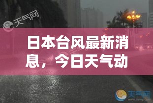 日本臺風最新消息,今日天氣動態及影響報告