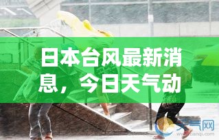 日本臺風最新消息,今日天氣動態(tài)及影響報告