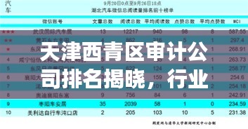 天津西青區審計公司排名揭曉，行業影響力榜單重磅出爐！
