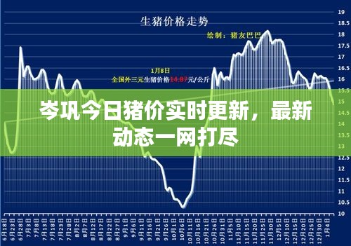 岑鞏今日豬價實時更新，最新動態一網打盡