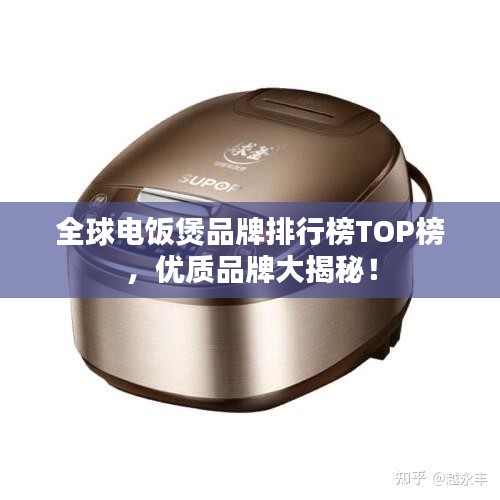 全球電飯煲品牌排行榜TOP榜，優質品牌大揭秘！