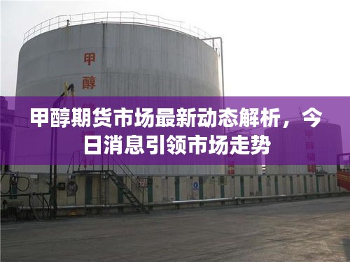 甲醇期貨市場(chǎng)最新動(dòng)態(tài)解析,今日消息引領(lǐng)市場(chǎng)走勢(shì)