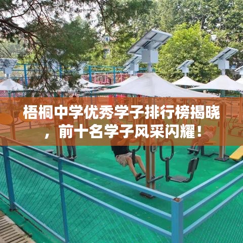 梧桐中學優(yōu)秀學子排行榜揭曉,前十名學子風采閃耀!