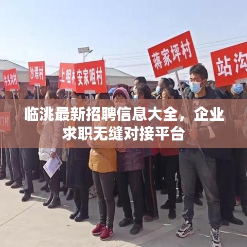 臨洮最新招聘信息大全，企業(yè)求職無縫對接平臺