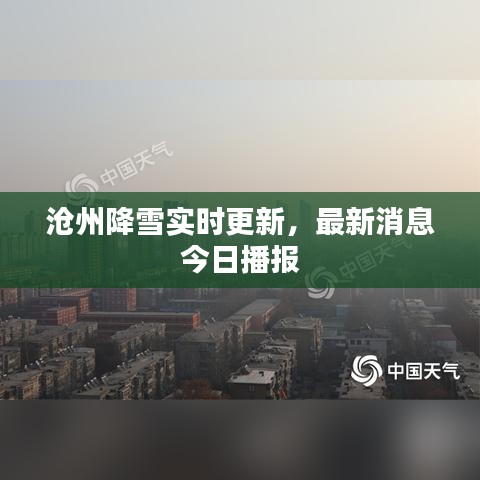 滄州降雪實時更新，最新消息今日播報