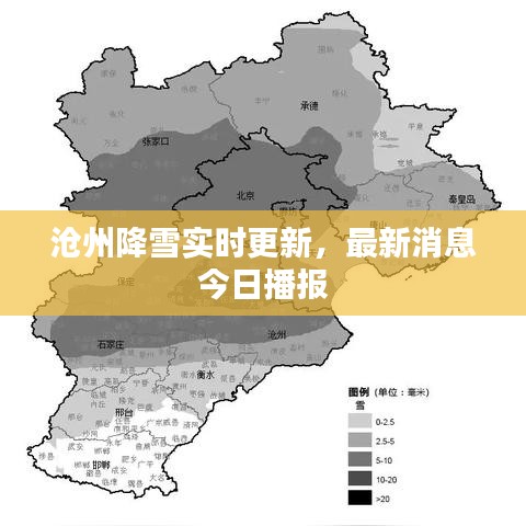 滄州降雪實時更新,最新消息今日播報