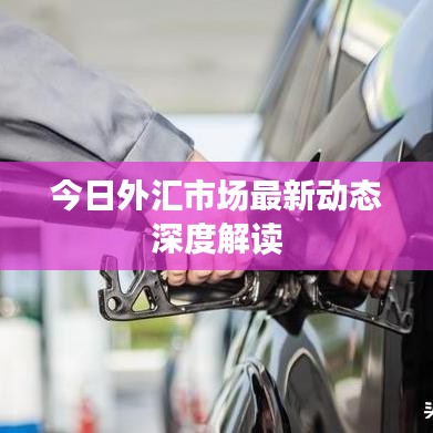 今日外匯市場最新動態深度解讀