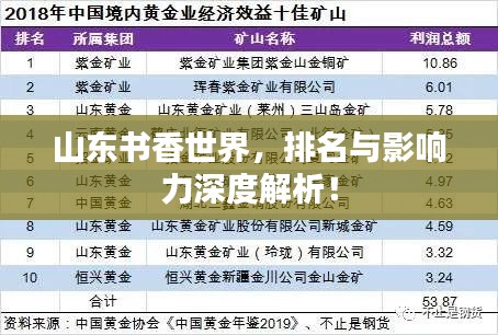 山東書香世界,排名與影響力深度解析!