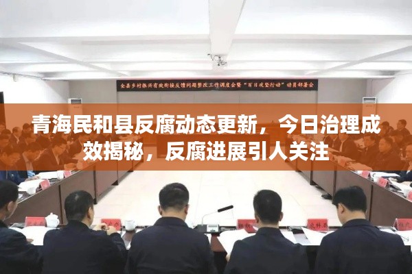 青海民和縣反腐動態更新，今日治理成效揭秘，反腐進展引人關注