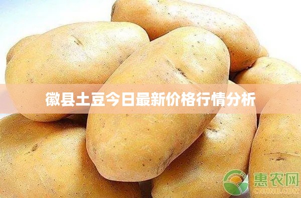 徽縣土豆今日最新價(jià)格行情分析