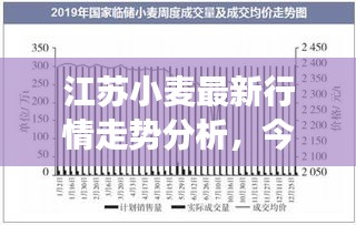 江蘇小麥最新行情走勢分析,今日市場動態揭秘