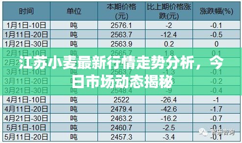 江蘇小麥最新行情走勢(shì)分析,今日市場(chǎng)動(dòng)態(tài)揭秘