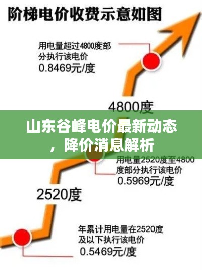 山東谷峰電價最新動態，降價消息解析