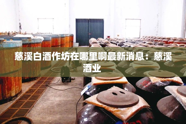 慈溪白酒作坊在哪里啊最新消息:慈溪酒業(yè)