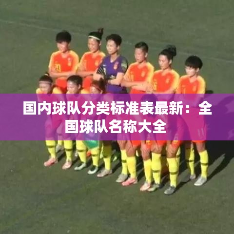 國內球隊分類標準表最新：全國球隊名稱大全 