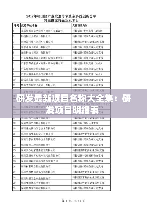 研發最新項目名稱大全集：研發項目明細表 