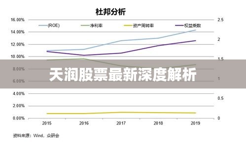 天潤股票最新深度解析