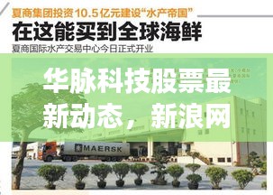 華脈科技股票最新動態(tài)，新浪網(wǎng)權(quán)威消息一網(wǎng)打盡