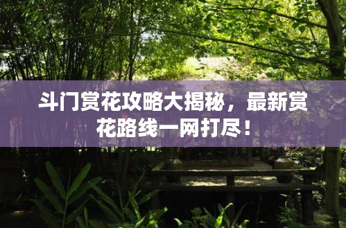 斗門賞花攻略大揭秘，最新賞花路線一網打盡！