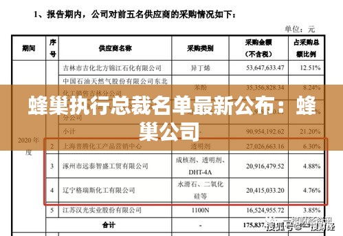 蜂巢執行總裁名單最新公布:蜂巢公司