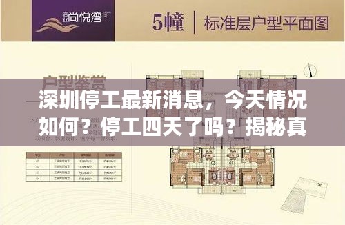 深圳停工最新消息,今天情況如何?停工四天了嗎?揭秘真相!